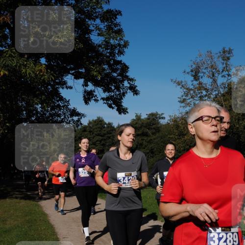 28.09.2025 - 33. Volkslauf durch das schöne Alstertal Fabian Wolf http://msf.ph/oto/8975552 28.09.2025 10:36:52 Laufen 3332, 2, 325, 3429, 3289 meine-sportfotos.de