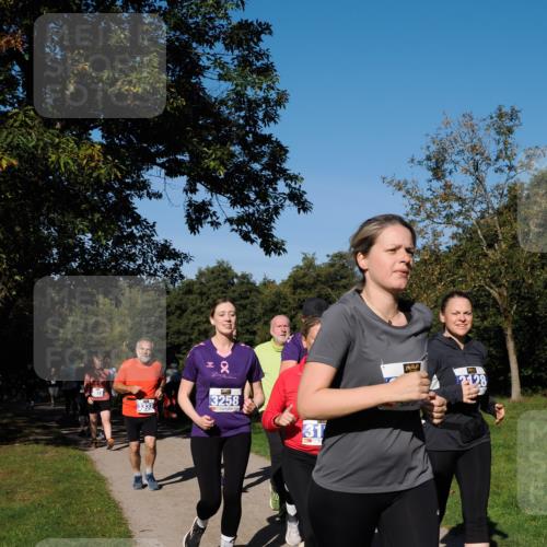 28.09.2025 - 33. Volkslauf durch das schöne Alstertal Fabian Wolf http://msf.ph/oto/8975557 28.09.2025 10:36:53 Laufen 332, 22, 3258, 31, 2128 meine-sportfotos.de