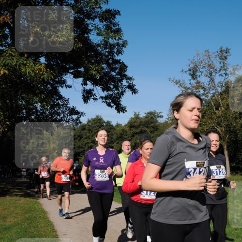 28.09.2025 - 33. Volkslauf durch das schöne Alstertal Fabian Wolf http://msf.ph/oto/8975558 28.09.2025 10:36:53 Laufen 3073, 2, 3258, 314, 342, 3128 meine-sportfotos.de