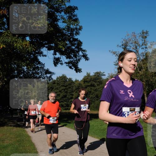 28.09.2025 - 33. Volkslauf durch das schöne Alstertal Fabian Wolf http://msf.ph/oto/8975561 28.09.2025 10:36:54 Laufen 3332, 3139, 3230 meine-sportfotos.de