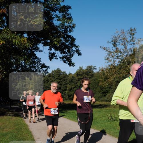 28.09.2025 - 33. Volkslauf durch das schöne Alstertal Fabian Wolf http://msf.ph/oto/8975563 28.09.2025 10:36:55 Laufen 3073, 13332, 3139 meine-sportfotos.de