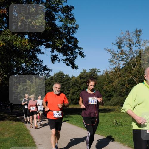 28.09.2025 - 33. Volkslauf durch das schöne Alstertal Fabian Wolf http://msf.ph/oto/8975564 28.09.2025 10:36:55 Laufen 3073, 3332, 3139 meine-sportfotos.de