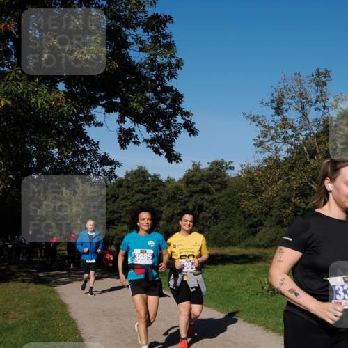 28.09.2025 - 33. Volkslauf durch das schöne Alstertal Fabian Wolf http://msf.ph/oto/8975709 28.09.2025 10:37:32 Laufen 3085, 984, 33 meine-sportfotos.de