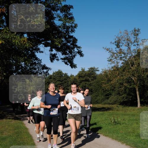 28.09.2025 - 33. Volkslauf durch das schöne Alstertal Fabian Wolf http://msf.ph/oto/8975759 28.09.2025 10:37:44 Laufen 336, 3389, 3390 meine-sportfotos.de