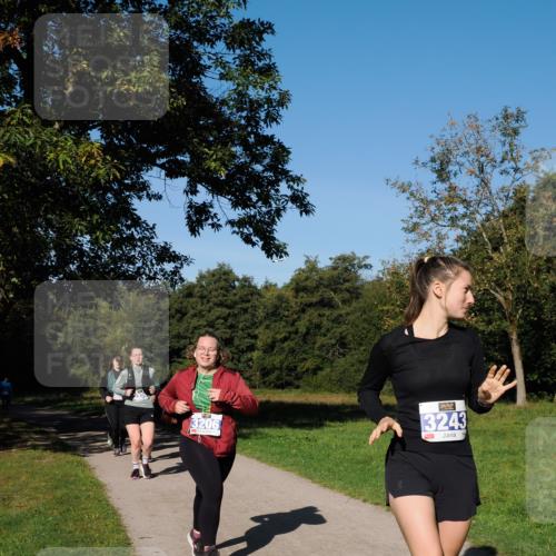 28.09.2025 - 33. Volkslauf durch das schöne Alstertal Fabian Wolf http://msf.ph/oto/8975786 28.09.2025 10:37:51 Laufen 3206, 3243 meine-sportfotos.de