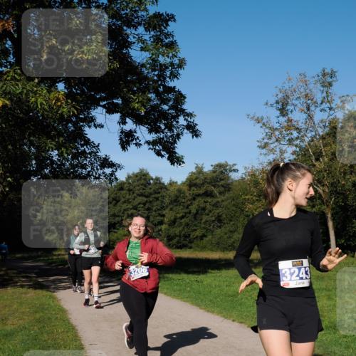 28.09.2025 - 33. Volkslauf durch das schöne Alstertal Fabian Wolf http://msf.ph/oto/8975787 28.09.2025 10:37:51 Laufen 3206, 3243 meine-sportfotos.de