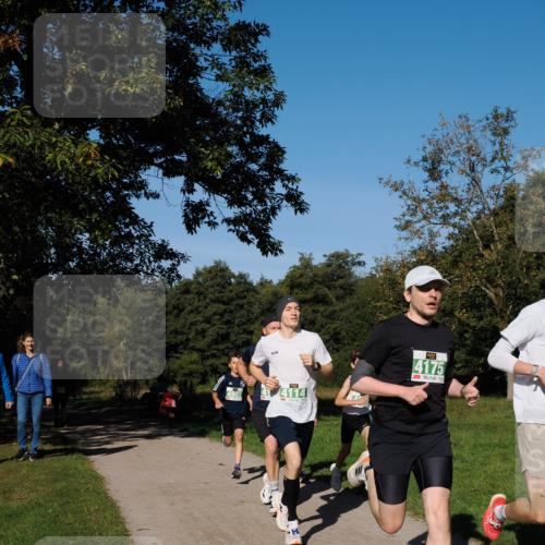 28.09.2025 - 33. Volkslauf durch das schöne Alstertal Fabian Wolf http://msf.ph/oto/8975902 28.09.2025 10:38:22 Laufen 4902, 4114, 4175 meine-sportfotos.de