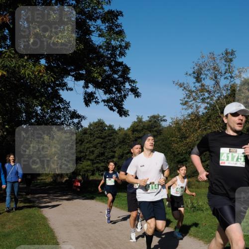 28.09.2025 - 33. Volkslauf durch das schöne Alstertal Fabian Wolf http://msf.ph/oto/8975903 28.09.2025 10:38:22 Laufen 4902, 4114, 21, 4019, 4175 meine-sportfotos.de