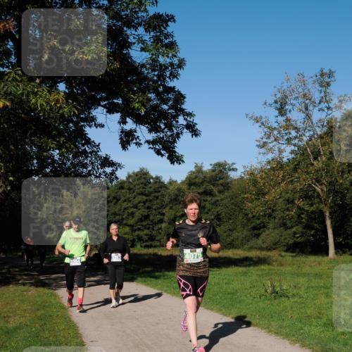 28.09.2025 - 33. Volkslauf durch das schöne Alstertal Fabian Wolf http://msf.ph/oto/8976009 28.09.2025 10:38:47 Laufen 3354, 3353, 4075 meine-sportfotos.de