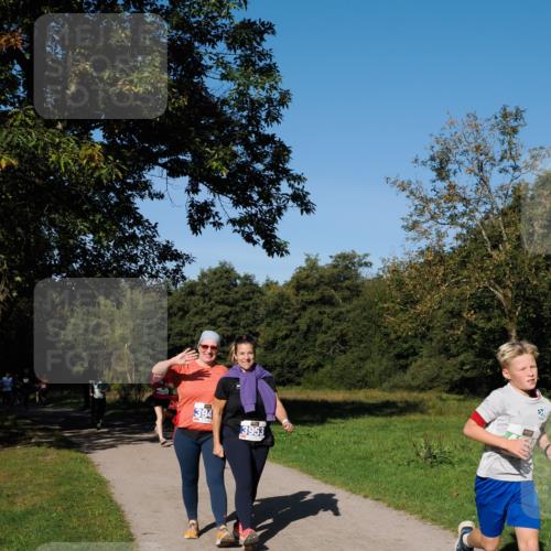 28.09.2025 - 33. Volkslauf durch das schöne Alstertal Fabian Wolf http://msf.ph/oto/8976079 28.09.2025 10:38:59 Laufen 394, 3953 meine-sportfotos.de
