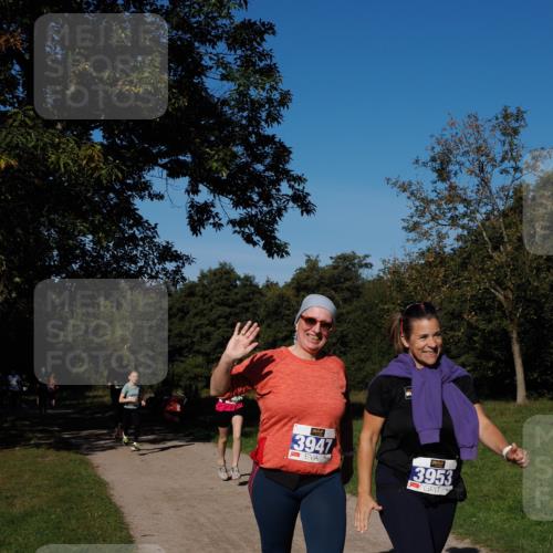 28.09.2025 - 33. Volkslauf durch das schöne Alstertal Fabian Wolf http://msf.ph/oto/8976101 28.09.2025 10:39:01 Laufen 3947, 3953 meine-sportfotos.de