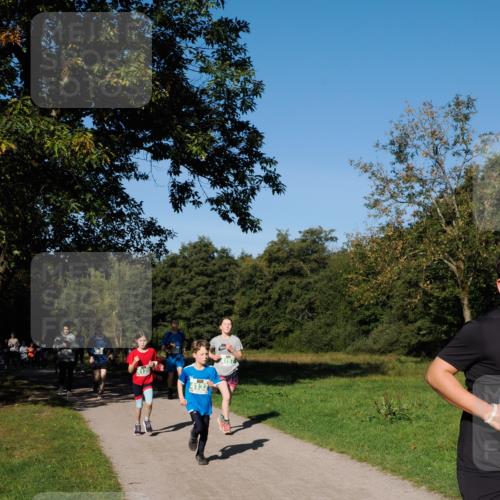 28.09.2025 - 33. Volkslauf durch das schöne Alstertal Fabian Wolf http://msf.ph/oto/8976242 28.09.2025 10:39:23 Laufen 120, 4132 meine-sportfotos.de