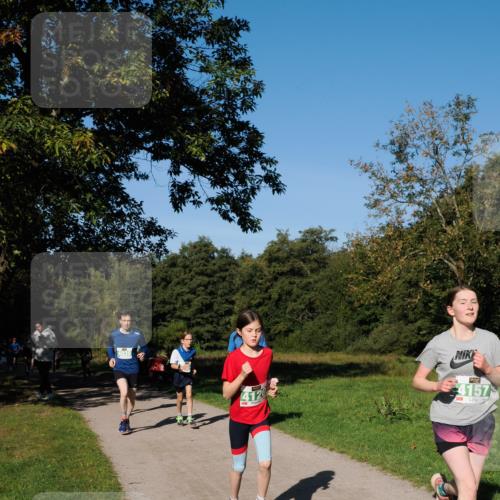 28.09.2025 - 33. Volkslauf durch das schöne Alstertal Fabian Wolf http://msf.ph/oto/8976263 28.09.2025 10:39:25 Laufen 403, 4120, 4157 meine-sportfotos.de