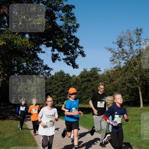 28.09.2025 - 33. Volkslauf durch das schöne Alstertal Fabian Wolf http://msf.ph/oto/8976315 28.09.2025 10:39:35 Laufen 4081, 4147, 402, 4155, 409, 408 meine-sportfotos.de