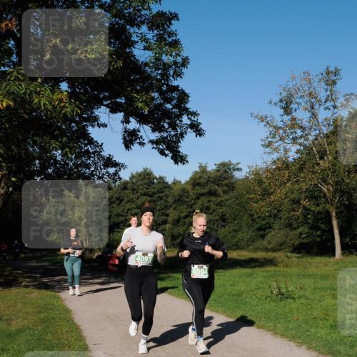 28.09.2025 - 33. Volkslauf durch das schöne Alstertal Fabian Wolf http://msf.ph/oto/8976336 28.09.2025 10:39:42 Laufen 4093, 4094 meine-sportfotos.de