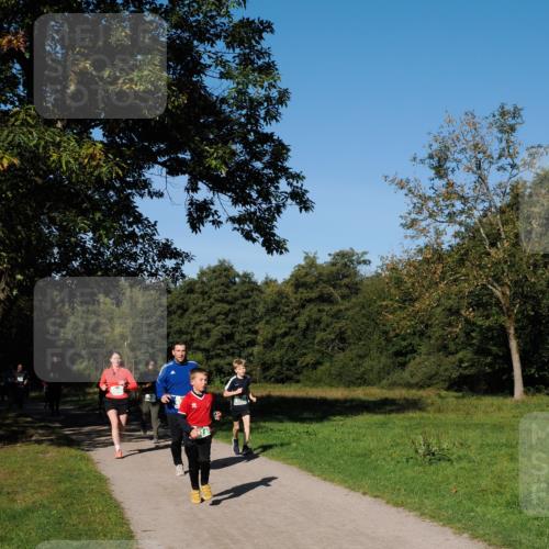 28.09.2025 - 33. Volkslauf durch das schöne Alstertal Fabian Wolf http://msf.ph/oto/8976387 28.09.2025 10:39:53 Laufen  meine-sportfotos.de