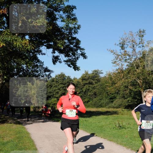 28.09.2025 - 33. Volkslauf durch das schöne Alstertal Fabian Wolf http://msf.ph/oto/8976420 28.09.2025 10:39:56 Laufen 4046, 4033 meine-sportfotos.de