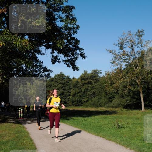 28.09.2025 - 33. Volkslauf durch das schöne Alstertal Fabian Wolf http://msf.ph/oto/8976528 28.09.2025 10:40:12 Laufen 4087 meine-sportfotos.de