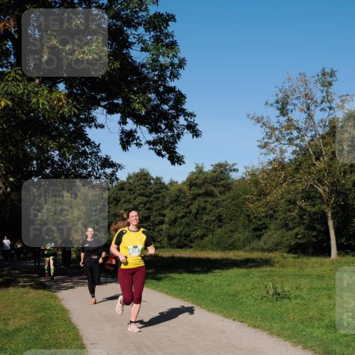 28.09.2025 - 33. Volkslauf durch das schöne Alstertal Fabian Wolf http://msf.ph/oto/8976529 28.09.2025 10:40:12 Laufen 4087 meine-sportfotos.de