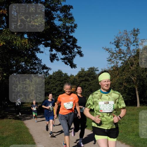 28.09.2025 - 33. Volkslauf durch das schöne Alstertal Fabian Wolf http://msf.ph/oto/8976579 28.09.2025 10:40:18 Laufen 127, 4032, 4088 meine-sportfotos.de