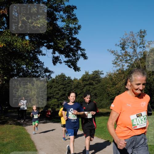28.09.2025 - 33. Volkslauf durch das schöne Alstertal Fabian Wolf http://msf.ph/oto/8976589 28.09.2025 10:40:19 Laufen 4079, 80, 4032 meine-sportfotos.de
