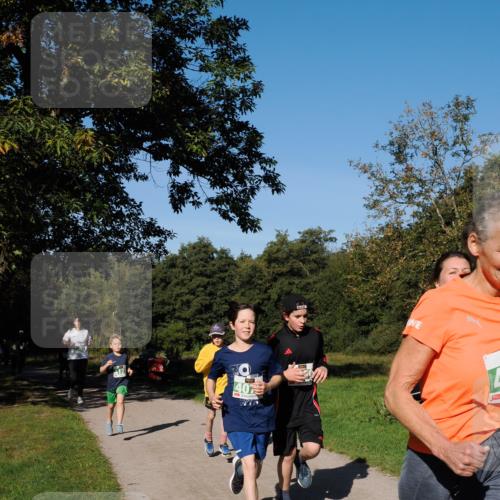 28.09.2025 - 33. Volkslauf durch das schöne Alstertal Fabian Wolf http://msf.ph/oto/8976591 28.09.2025 10:40:20 Laufen 40 meine-sportfotos.de