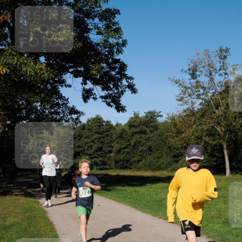 28.09.2025 - 33. Volkslauf durch das schöne Alstertal Fabian Wolf http://msf.ph/oto/8976607 28.09.2025 10:40:21 Laufen 4127 meine-sportfotos.de