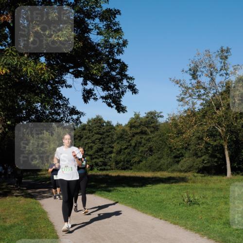 28.09.2025 - 33. Volkslauf durch das schöne Alstertal Fabian Wolf http://msf.ph/oto/8976625 28.09.2025 10:40:23 Laufen 4105 meine-sportfotos.de