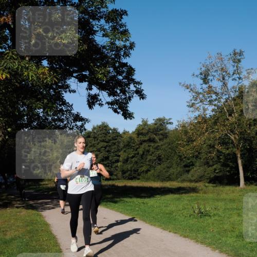 28.09.2025 - 33. Volkslauf durch das schöne Alstertal Fabian Wolf http://msf.ph/oto/8976630 28.09.2025 10:40:23 Laufen 4105 meine-sportfotos.de