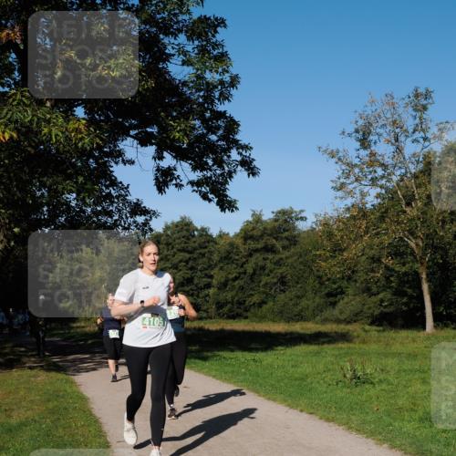 28.09.2025 - 33. Volkslauf durch das schöne Alstertal Fabian Wolf http://msf.ph/oto/8976631 28.09.2025 10:40:23 Laufen 4105 meine-sportfotos.de