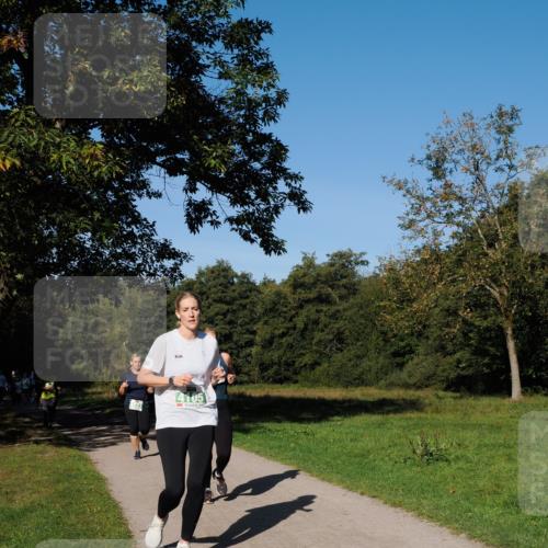 28.09.2025 - 33. Volkslauf durch das schöne Alstertal Fabian Wolf http://msf.ph/oto/8976632 28.09.2025 10:40:23 Laufen 4105 meine-sportfotos.de