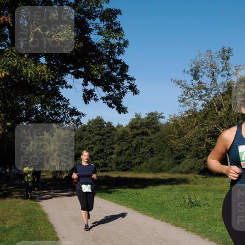 28.09.2025 - 33. Volkslauf durch das schöne Alstertal Fabian Wolf http://msf.ph/oto/8976647 28.09.2025 10:40:25 Laufen  meine-sportfotos.de