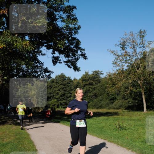 28.09.2025 - 33. Volkslauf durch das schöne Alstertal Fabian Wolf http://msf.ph/oto/8976658 28.09.2025 10:40:26 Laufen 4123 meine-sportfotos.de