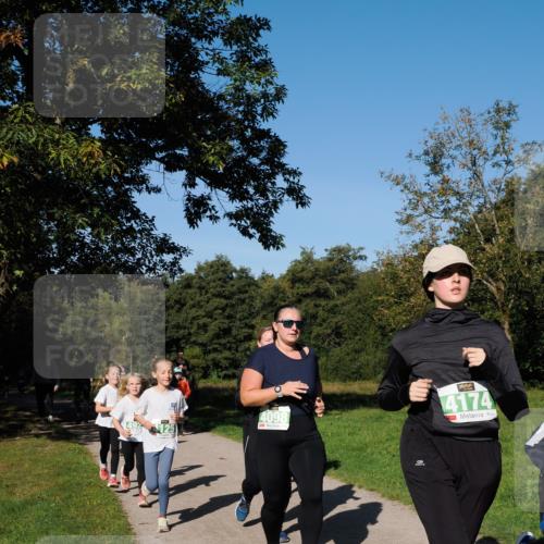 28.09.2025 - 33. Volkslauf durch das schöne Alstertal Fabian Wolf http://msf.ph/oto/8976761 28.09.2025 10:40:46 Laufen 4098, 4174 meine-sportfotos.de