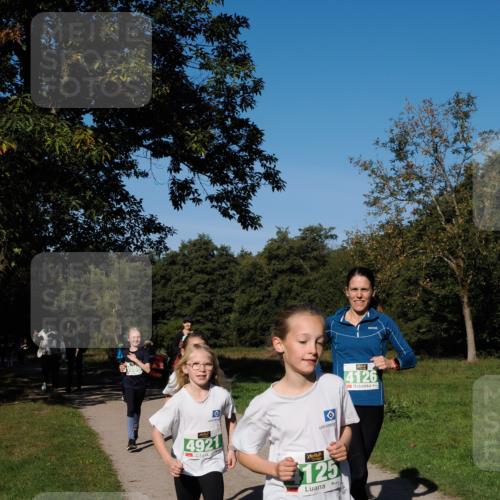 28.09.2025 - 33. Volkslauf durch das schöne Alstertal Fabian Wolf http://msf.ph/oto/8976780 28.09.2025 10:40:48 Laufen 4086, 4921, 125, 20, 11, 0, 4126 meine-sportfotos.de
