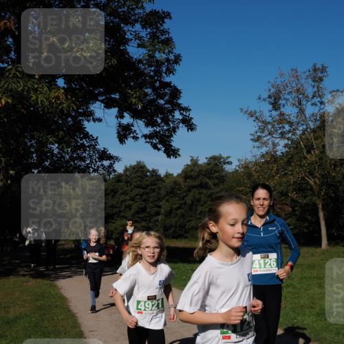 28.09.2025 - 33. Volkslauf durch das schöne Alstertal Fabian Wolf http://msf.ph/oto/8976781 28.09.2025 10:40:48 Laufen 4921, 4126 meine-sportfotos.de