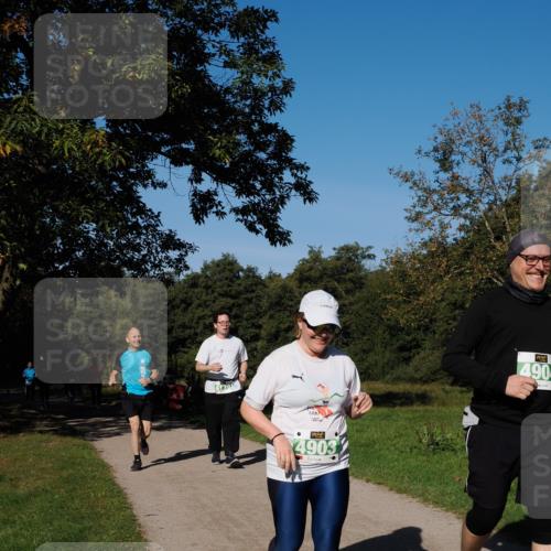28.09.2025 - 33. Volkslauf durch das schöne Alstertal Fabian Wolf http://msf.ph/oto/8977035 28.09.2025 10:42:03 Laufen 1391, 4903, 4904 meine-sportfotos.de