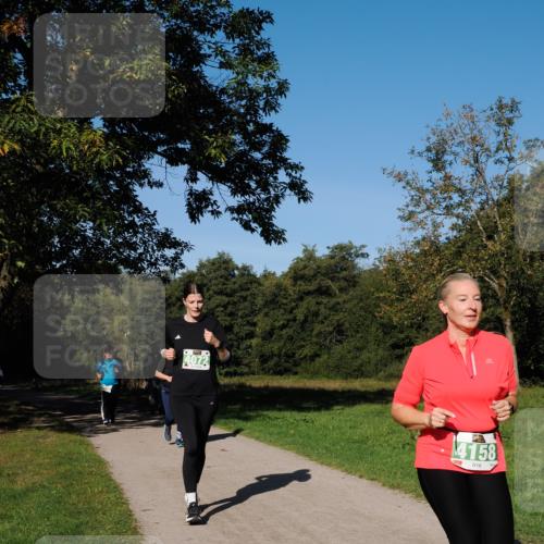 28.09.2025 - 33. Volkslauf durch das schöne Alstertal Fabian Wolf http://msf.ph/oto/8977068 28.09.2025 10:42:13 Laufen 4072, 4158 meine-sportfotos.de