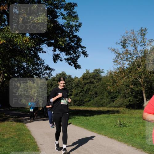 28.09.2025 - 33. Volkslauf durch das schöne Alstertal Fabian Wolf http://msf.ph/oto/8977069 28.09.2025 10:42:13 Laufen 4072 meine-sportfotos.de