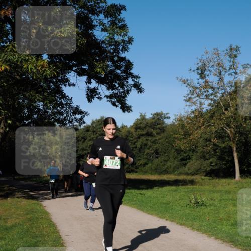 28.09.2025 - 33. Volkslauf durch das schöne Alstertal Fabian Wolf http://msf.ph/oto/8977071 28.09.2025 10:42:14 Laufen 4072 meine-sportfotos.de