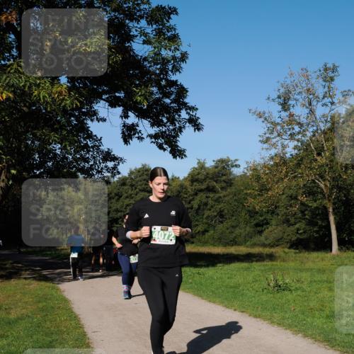 28.09.2025 - 33. Volkslauf durch das schöne Alstertal Fabian Wolf http://msf.ph/oto/8977072 28.09.2025 10:42:14 Laufen 411, 4072 meine-sportfotos.de