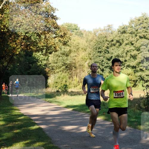 28.09.2025 - 33. Volkslauf durch das schöne Alstertal Fabian Wolf http://msf.ph/oto/8978068 28.09.2025 10:03:14 Laufen 1503, 1501 meine-sportfotos.de