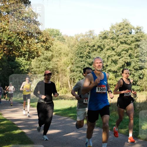 28.09.2025 - 33. Volkslauf durch das schöne Alstertal Fabian Wolf http://msf.ph/oto/8978071 28.09.2025 10:03:30 Laufen 13, 1515, 15, 1509 meine-sportfotos.de