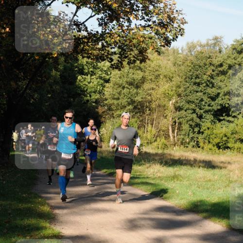 28.09.2025 - 33. Volkslauf durch das schöne Alstertal Fabian Wolf http://msf.ph/oto/8978074 28.09.2025 10:03:50 Laufen 1523, 1609, 003, 1514 meine-sportfotos.de