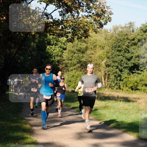 28.09.2025 - 33. Volkslauf durch das schöne Alstertal Fabian Wolf http://msf.ph/oto/8978075 28.09.2025 10:03:51 Laufen 1523, 1609, 003, 1009, 1514 meine-sportfotos.de