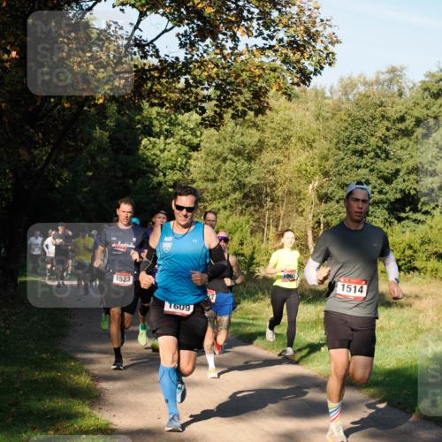 28.09.2025 - 33. Volkslauf durch das schöne Alstertal Fabian Wolf http://msf.ph/oto/8978076 28.09.2025 10:03:52 Laufen 1523, 1609, 1005, 1514 meine-sportfotos.de