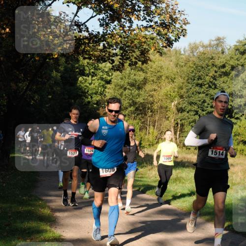 28.09.2025 - 33. Volkslauf durch das schöne Alstertal Fabian Wolf http://msf.ph/oto/8978077 28.09.2025 10:03:52 Laufen 1523, 1529, 1609, 1005, 1514 meine-sportfotos.de