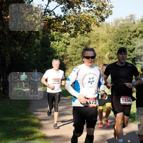 28.09.2025 - 33. Volkslauf durch das schöne Alstertal Fabian Wolf http://msf.ph/oto/8978091 28.09.2025 10:04:03 Laufen 017, 1589, 1572, 1556 meine-sportfotos.de
