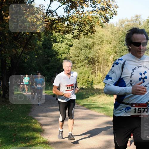 28.09.2025 - 33. Volkslauf durch das schöne Alstertal Fabian Wolf http://msf.ph/oto/8978094 28.09.2025 10:04:04 Laufen 1017, 1589, 50, 1572 meine-sportfotos.de
