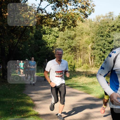 28.09.2025 - 33. Volkslauf durch das schöne Alstertal Fabian Wolf http://msf.ph/oto/8978095 28.09.2025 10:04:04 Laufen 1589 meine-sportfotos.de